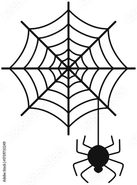 Obraz 거미와 거미줄