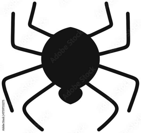 Obraz 검은색 거미