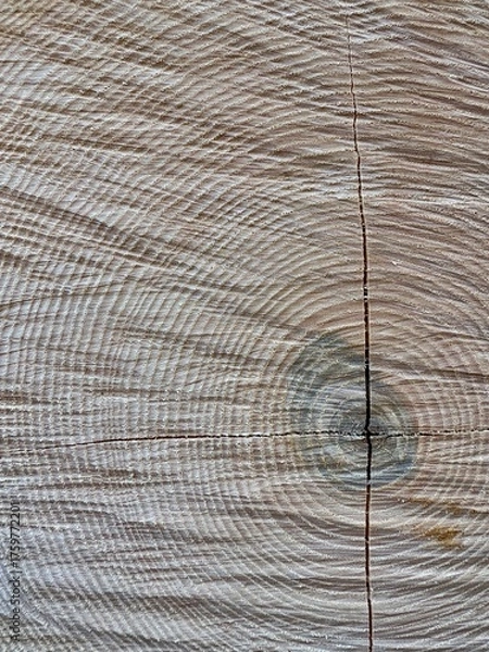 Fototapeta wood texture background