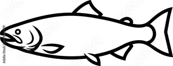 Obraz Simple line drawing of a salmon fish in profile
