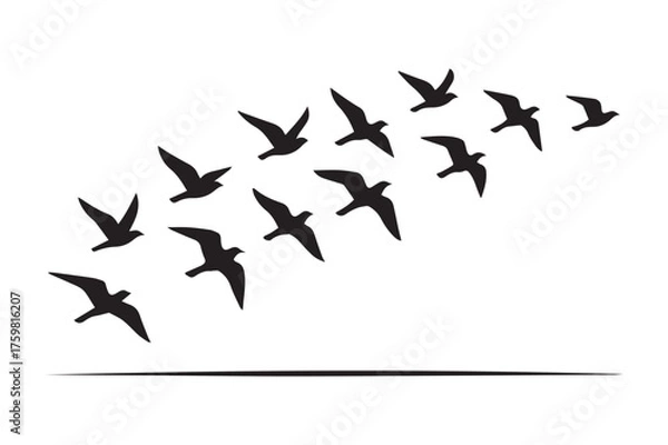 Obraz birds flying on a white background