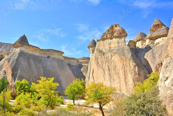 Obraz View of a breathtaking landscape in Cappadocia, Turkey, featuring unique rock formations known as fairy chimneys and ancient cave dwellings carved into the soft volcanic stone.