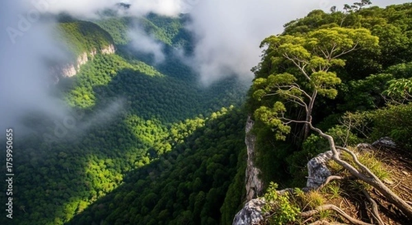 Fototapeta Lush green mountain valley with clouds and tree on rocky cliff edge
