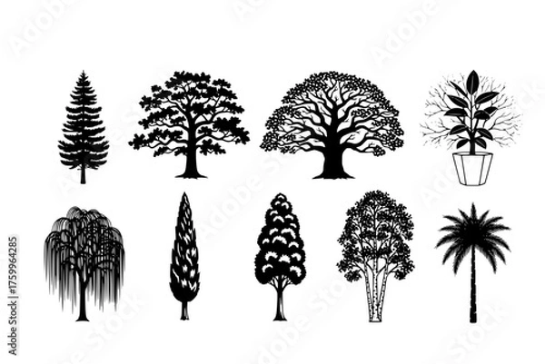 Fototapeta Detailed Tree Silhouettes Black Vector Set: Tall Pine, Broad Oak, Leaf-Bare Branch, and Potted Plants for Landscape and Architectural Renderings.