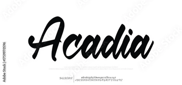 Fototapeta  Hand drawn vector alphabet. Modern monoline signature script font. Elegant Signature Font. Best Alphabet Beautiful Calligraphy Signature Font