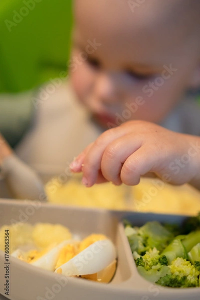 Obraz Close-up shot of small hand touching and picking at corn cereal, steamed broccoli and boiled egg. Important sensory experience during weaning period.