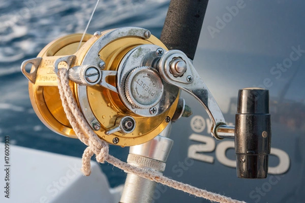 Obraz Pêche au gros