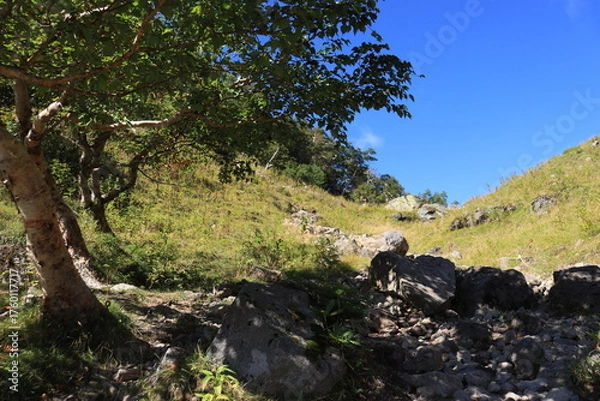 Obraz 日光白根山