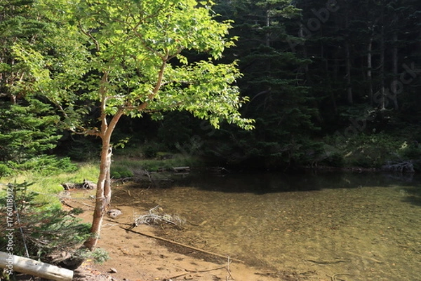 Obraz 日光白根山