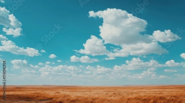 Fototapeta Vast expanse of golden grassland under a bright blue sky adorned with fluffy white clouds, showcasing the beauty of nature's simplicity and tranquility