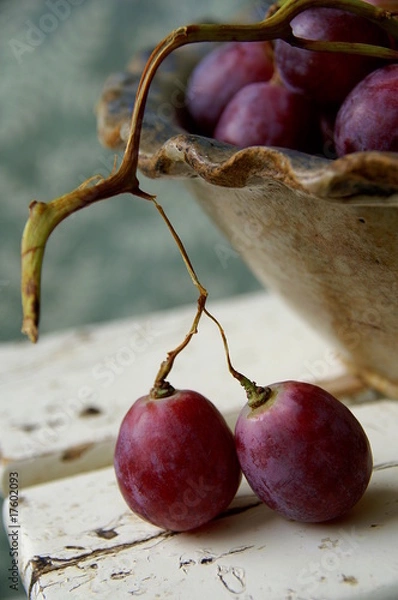 Obraz Trauben