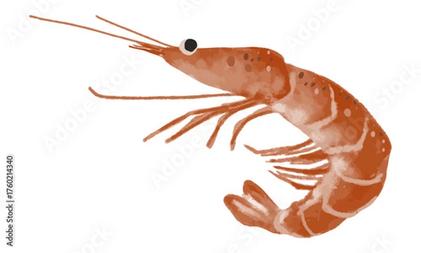 Fototapeta ゆるい水彩タッチの海老（えび）