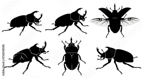 Fototapeta Silhouettes of rhinoceros beetles isolated on white background in various poses