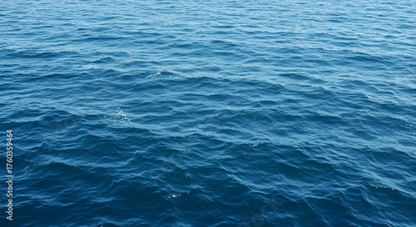 Fototapeta Serene expanse of the ocean with gentle ripples and a calming blue hue