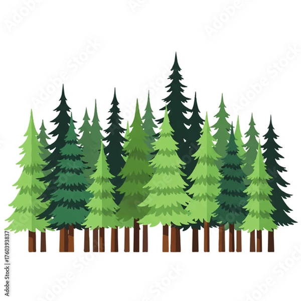 Fototapeta Forest of Evergreen Trees Illustration in Green Shades with Tall Pine Trees