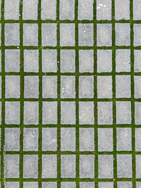 Fototapeta A geometric, top-down view of rectangular gray concrete pavers laid in a grid pattern, with vibrant green grass and moss growing in the joints.