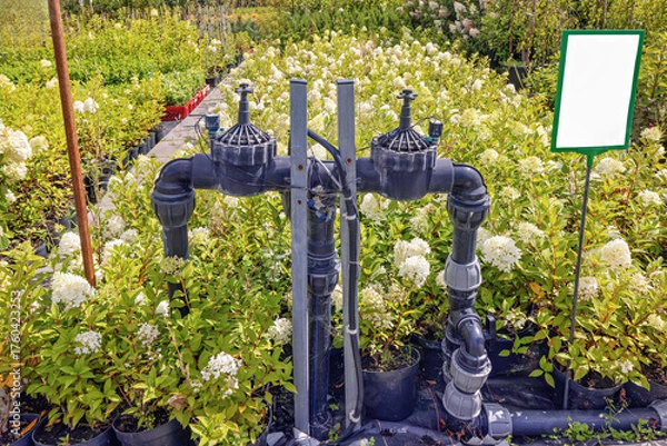 Fototapeta Installing an irrigation system in a plant nursery during the summer season