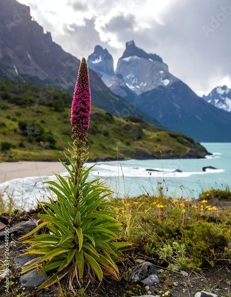 Fototapeta Tall pink flower blossoms against a backdrop of mountains and a bay