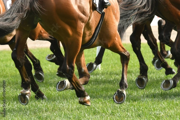 Obraz Horse racing action