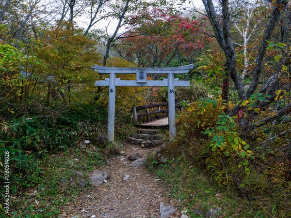 Fototapeta 那須岳峠の茶屋登山口