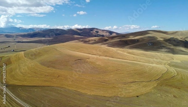 Fototapeta Aerial View of Amber Wheat Fields in Rolling Hills
