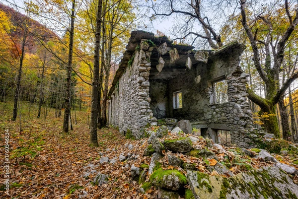Fototapeta Ruins of a house in the middle of a forest in autumn. An autumnal landscape that demonstrates the blend of nature and history in Friuli Venezia Giulia, Lusevera, Udine, Italy.
