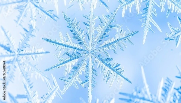 Obraz Close Up of Radial Ice Crystals Snowflake Macro Photography