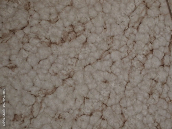 Fototapeta texture of the stone