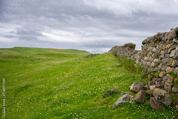 Fototapeta Schottland