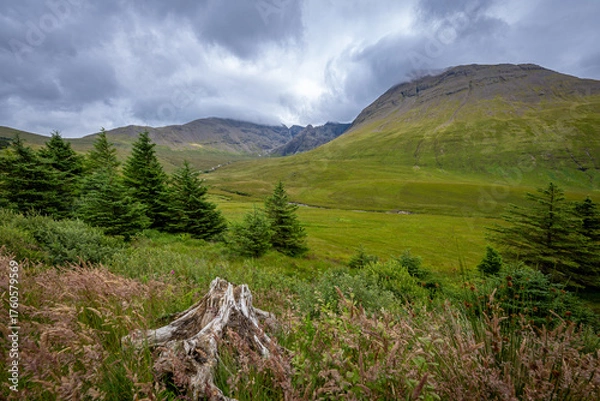 Obraz Scottland Lanschaft