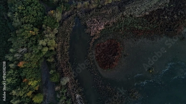 Obraz Aerial view of dried Lake and diverse vegetation in Autumn