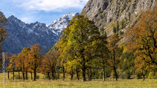 Obraz Bäume im Herbst vor Felswand