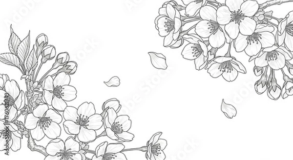 Fototapeta Elegant hand drawn sketch of two eucalyptus branches with detailed leaves and stems isolated on transparent background