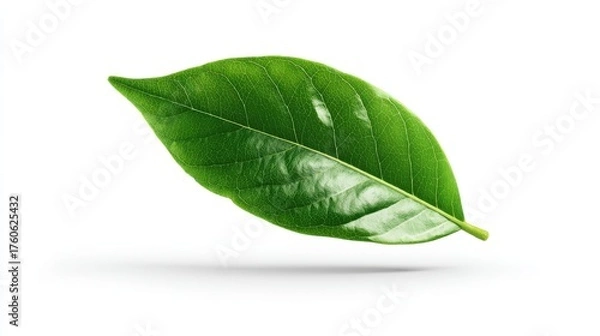 Obraz Minimal green leaf icon representing eco-friendly product concept, isolated on white background