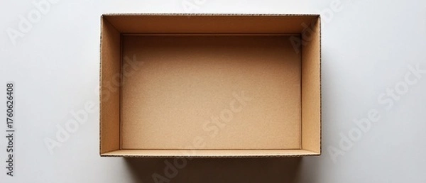 Obraz Empty Cardboard Box on White Background (2)