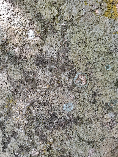 Fototapeta Natural texture of a stone surface covered with green moss and pale lichen. Organic pattern with earthy tones and rough surface, ideal as a natural background or texture reference.