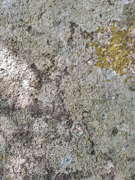 Fototapeta Natural texture of a stone surface covered with green moss and pale lichen. Organic pattern with earthy tones and rough surface, ideal as a natural background or texture reference.