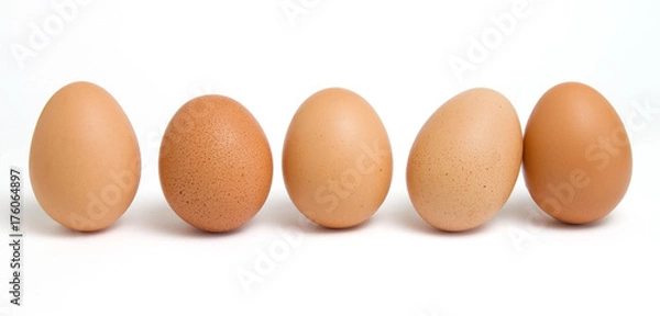 Obraz Five Chicken Eggs in a Row