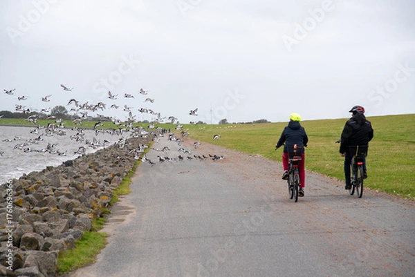Obraz Radfahrer im Wattenmeer