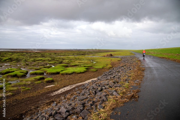 Obraz Radfahrer im Wattenmeer
