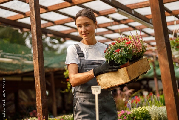 Fototapeta A woman tending to colorful flowers in a flourishing greenhouse, showcasing her passion for gardening