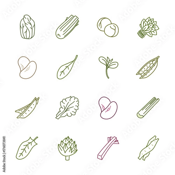 Fototapeta Vegetables icons - Lettuce, spinach, pea and beans