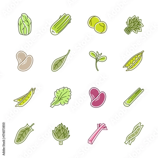 Obraz Vegetables icons - Lettuce, spinach, pea and beans