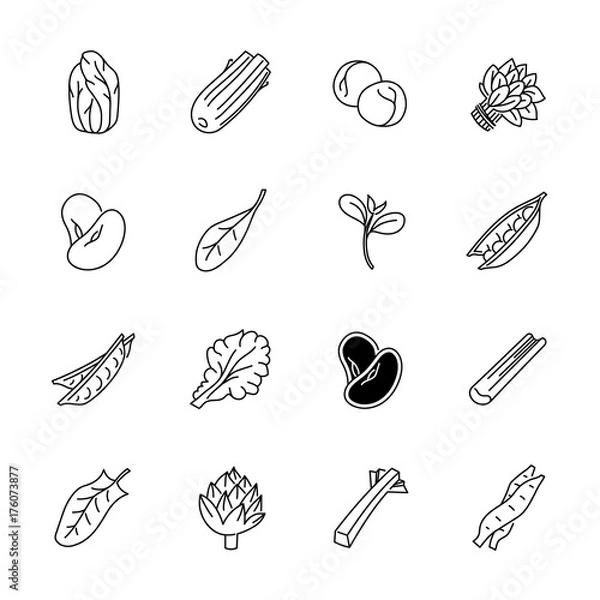 Obraz Vegetables icons - Lettuce, spinach, pea and beans