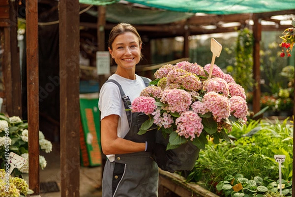Fototapeta A cheerful and talented florist proudly showcases vibrant, colorful hydrangeas in a beautiful garden setting