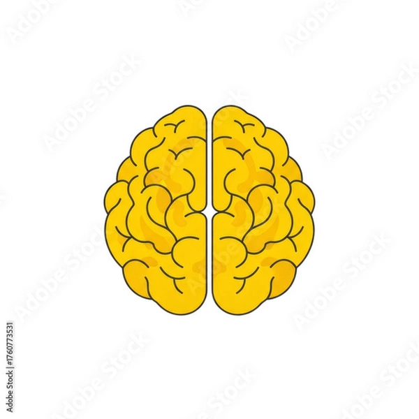 Fototapeta Yellow Brain Graphic isolated on a transparent background
