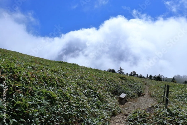Fototapeta 秋の瓶ヶ森を歩く　（四国　愛媛県）