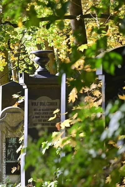 Obraz Jüdischer Friedhof