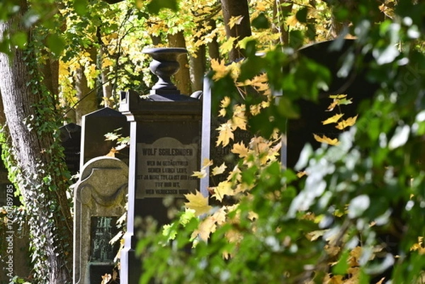 Obraz Jüdischer Friedhof