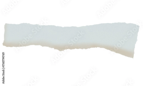 Fototapeta Piece of faded vintage book sheet, old ripped paper with copy space isolated for design